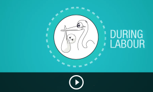 BC_duringlabour_videothumb